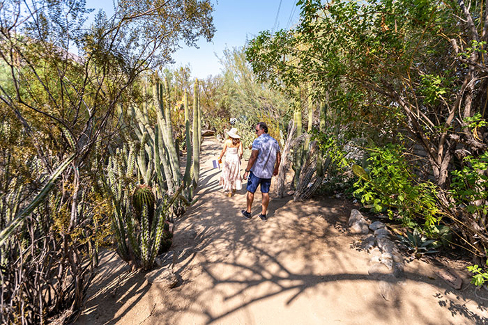couple exploring Moorten Botanical Garden looking at desert plants