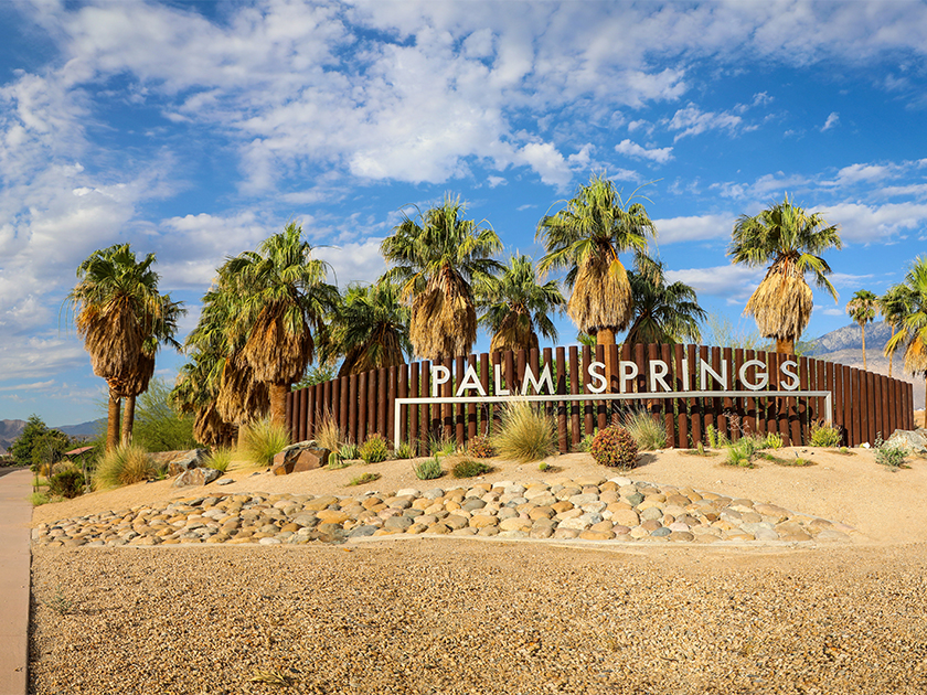 Palm Springs sign with palm trees background