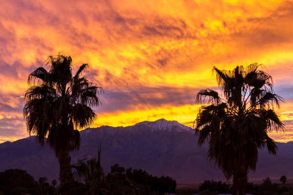 Palm springs sunset