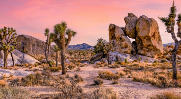 sunset in joshua tree